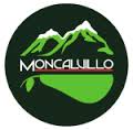 Logo - frutas del valle moncalvillo.jpg
